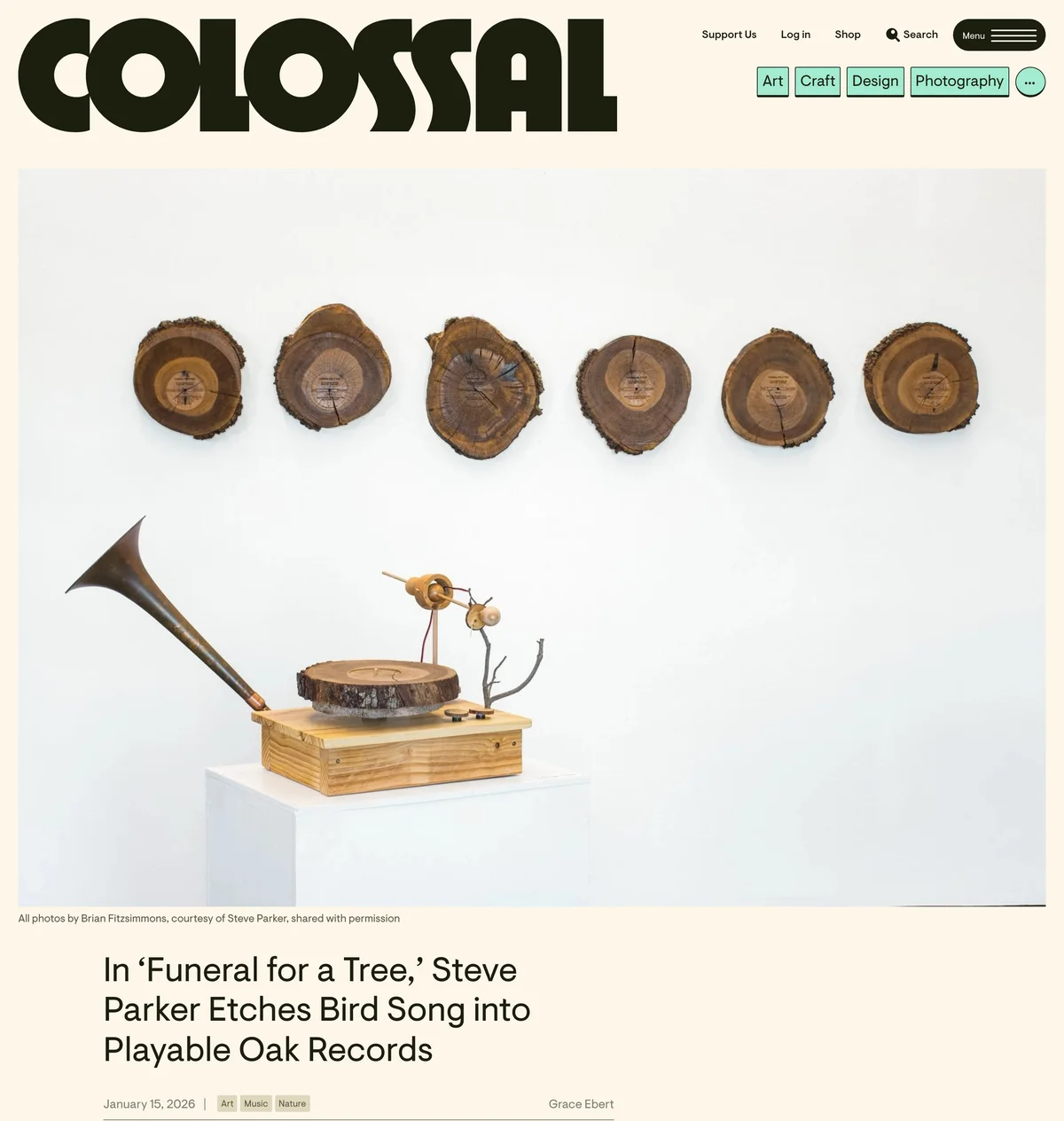 Colossal, January 15, 2026: In 'Funeral for a Tree,' Steve Parker Etches Bird Song into Playable Oak Records